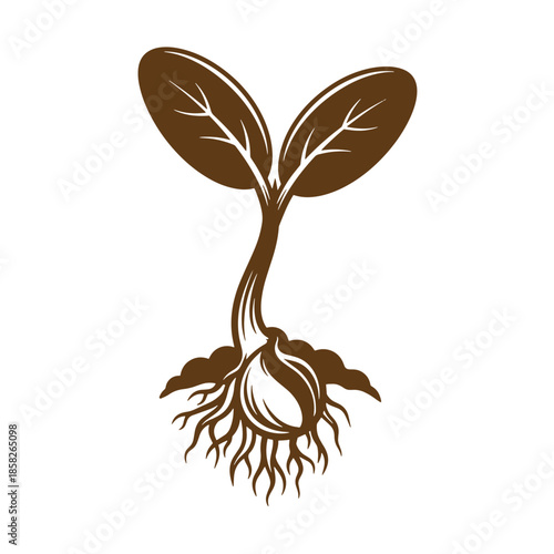 Vintage brown plant sprout with roots and leaves growing isolated on white background