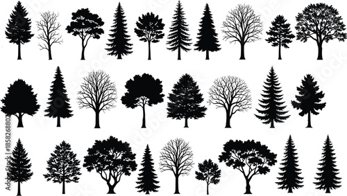 Collection of various tree silhouettes, pine, oak and bare trees, forest nature set isolated, cad drawing flat vector illustration