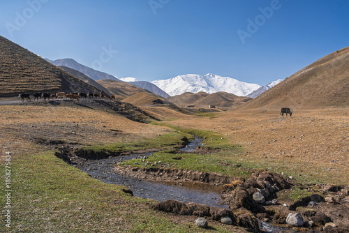 Scenic landscape view of high altitude rural valley and stream with Lenin Peak in background, Sary Mogol, Kyrgyzstan