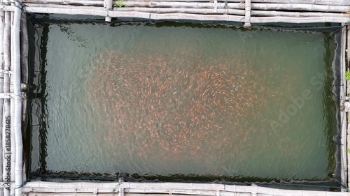 Local Fisherman Casting Net in the Golden Hour at Cengklik Dam