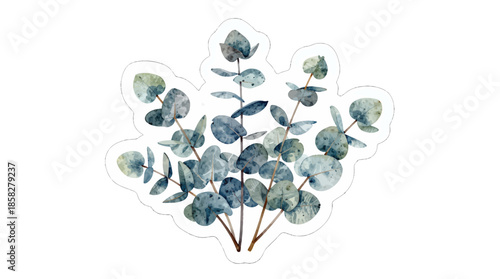 Hand-drawn blue eucalyptus leaves on thin stems