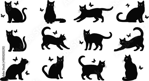 Black cats in various poses with butterflies around them