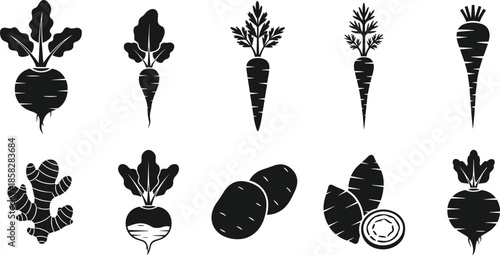 Black silhouettes of various root vegetables on white background