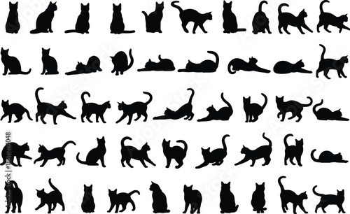 Fotografi Collection of black cat silhouettes in various poses