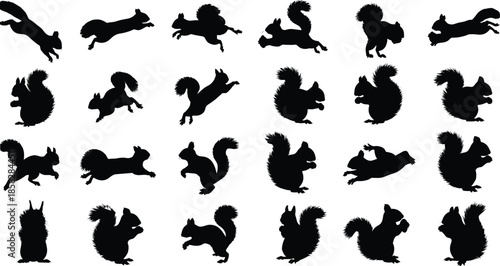 Collection of black squirrel silhouettes in various poses and actions