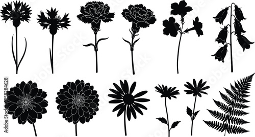 Collection of elegant black flower silhouettes on white background