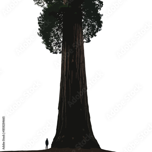 A solitary figure stands at the base of a massive, towering redwood tree, emphasizing its immense scale and natural grandeur.