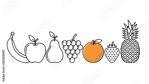 Minimalist Colorful Hand-Drawn Fruit Illustration Collection