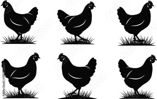 Six black chicken silhouettes standing in grass
