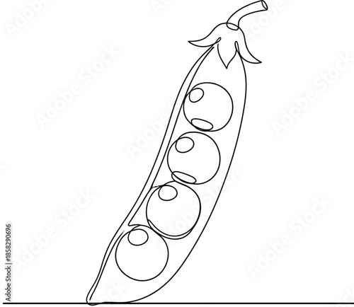 Green Pea Pod Line Art Illustration