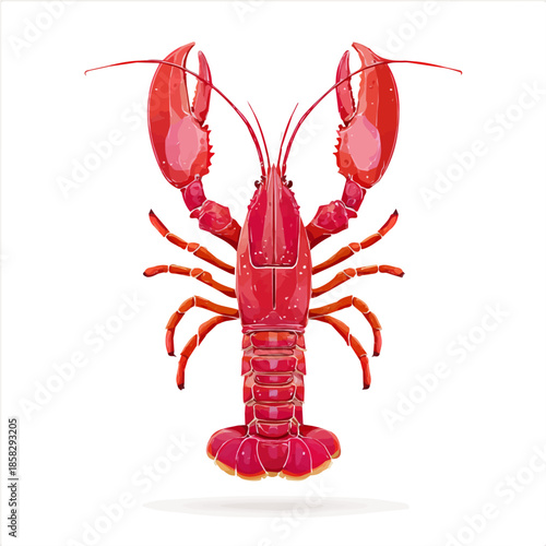Simple flat 2D vector graphic of a Lobster in modern icon style, isolated on a white canvas