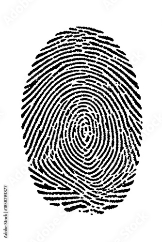 Detailed Human Fingerprint Pattern Isolated
