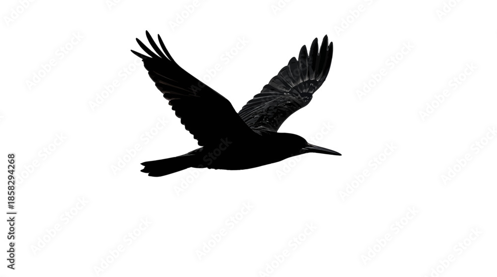 Fototapeta premium Hummingbird in mid-flight with wings spread wide