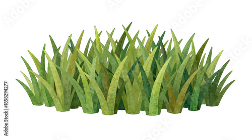 Isolated patch of lush green grass blades