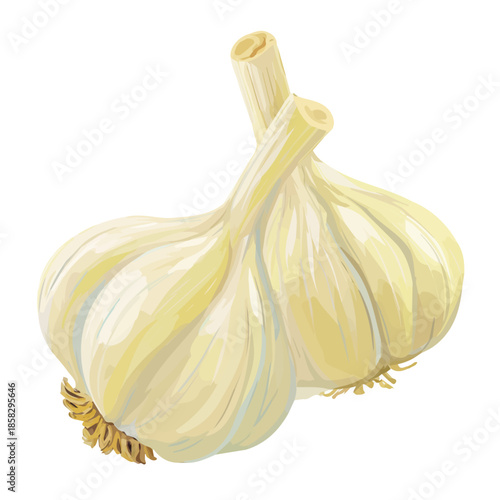 Garlic, presented as a modern flat 2D vector icon graphic on a white background
