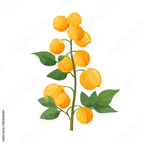 Minimalist 2D vector icon representation of a Chickpea Plant, displayed on a pure white background