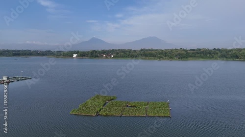 Scenic View of Cengklik Dam Covered by Green Water Hyacinths, Waduk Cengklik Boyolali