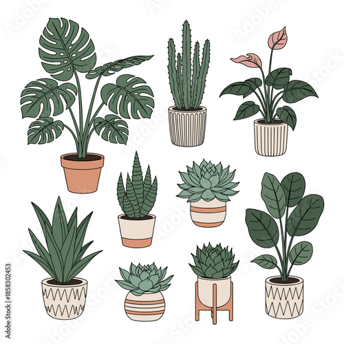 Variety of green houseplants including succulents and a monstera plant in ceramic pots with tribal and geometric patterns for home decor.