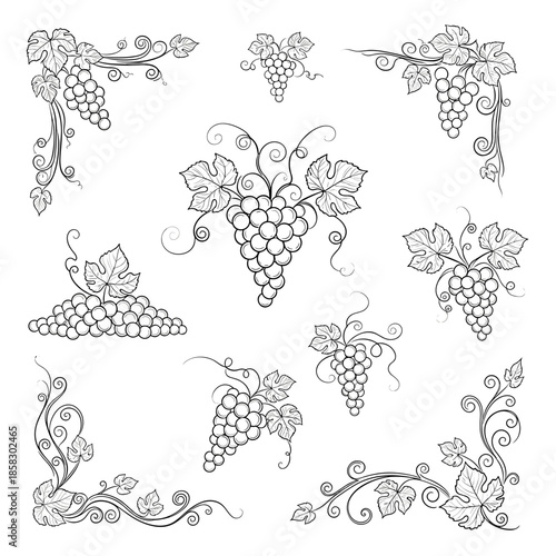 Elegant collection of grape vine ornaments featuring clusters of grapes and curly leaves in a delicate black and white line art style.
