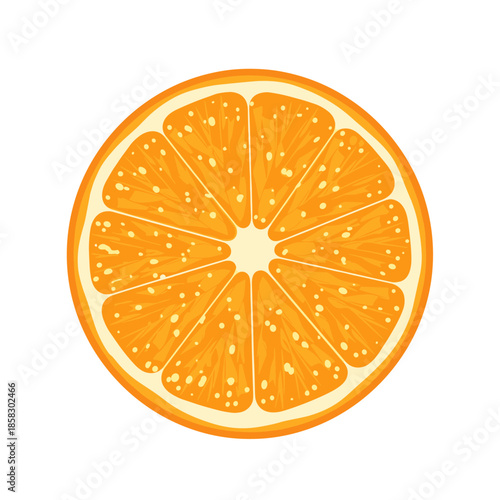 Detailed illustration of a juicy orange slice showing the internal segment structure and tiny droplets for a fresh and citrusy appearance.