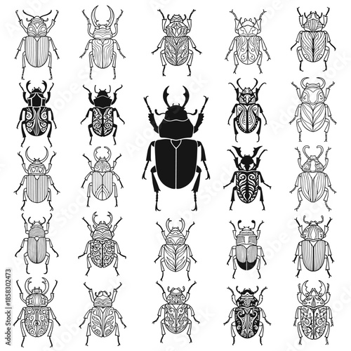 Extensive set of beetle illustrations featuring numerous species shown in intricate line art patterns and a solid black silhouette style.