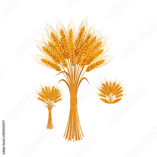 Bundle of golden wheat ears tied together representing a bountiful harvest and agricultural prosperity for food production themes.