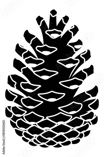 Detailed black and white silhouette illustration depicts a single, distinct, mature pine cone showcasing overlapping woody scales and an elongated, conical shape, perfect for nature designs.