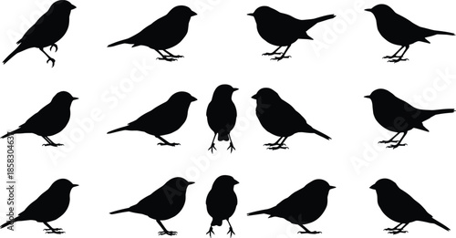 Small bird silhouette collection, showing sparrow songbirds perched standing poses, isolated on white background, wildlife avian vector illustration design set