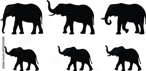 Elephant silhouette collection showing walking elephants isolated on white background wildlife safari animal vector illustration set design elements stock graphic