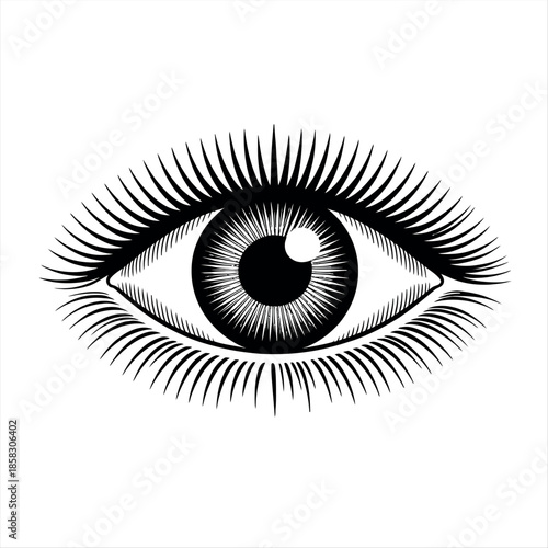 Detailed illustration of a human eye with long eyelashes Vector