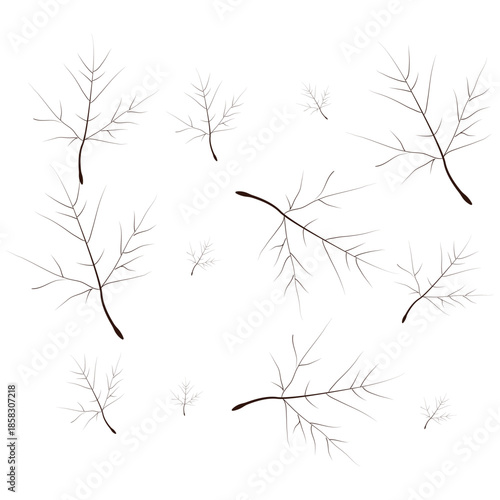 A vibrant collection of diverse autumn leaves showcasing the beauty 