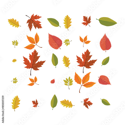 A vibrant collection of diverse autumn leaves showcasing the beauty 