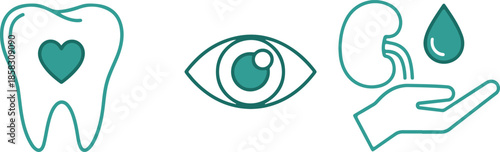 Collection of three medical representing dental health eye care and kidney function with a water droplet Keywords: dental care tooth eye vision