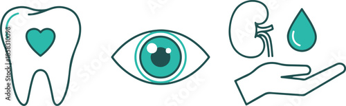Three medical in teal and white showing a tooth with a heart an eye and a kidney with a water droplet held by a hand Keywords: dental care tooth