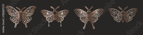 Mystic rose gold moths  boho celestial gothic tattoo set on black background