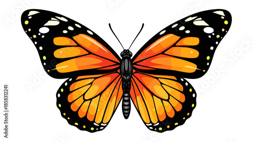 Monarch Butterfly Illustration with Colorful Wings Isolated on White Background