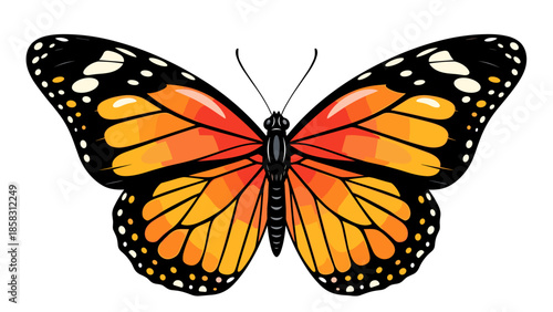 Monarch Butterfly Illustration with Colorful Wings Isolated on White Background