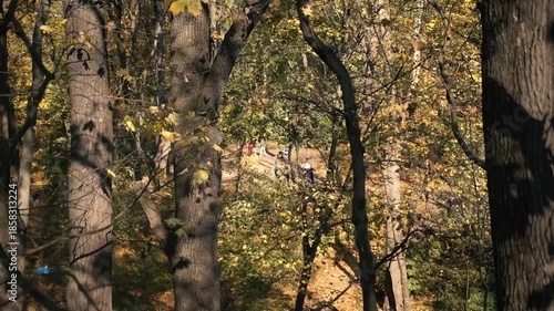 People practice Tai Chi in an autumn park, surrounded by golden foliage, fostering wellness and tranquility. This serene outdoor activity promotes mindful movement and healthy living.