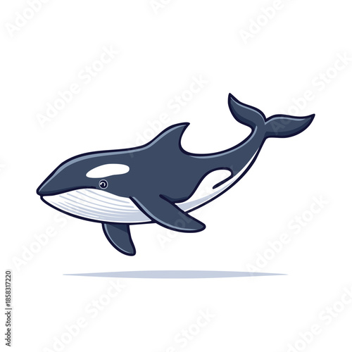 Cartoon Killer Whale: Orca marine mammal swims gracefully. Isolated vector illustration capturing the essence of wildlife and ocean life.