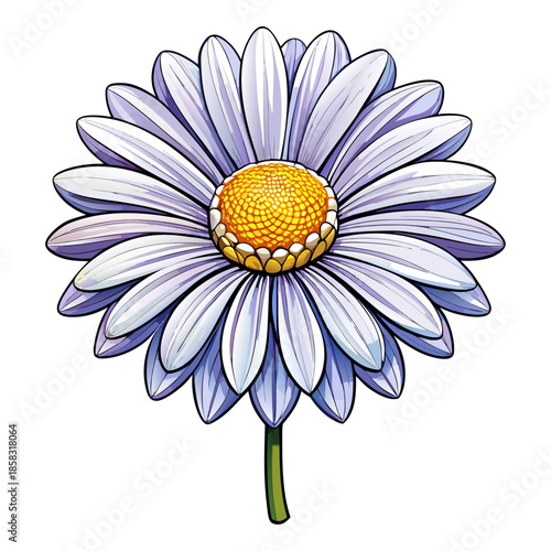 White Daisy Flower with Purple Tint Vector Illustration