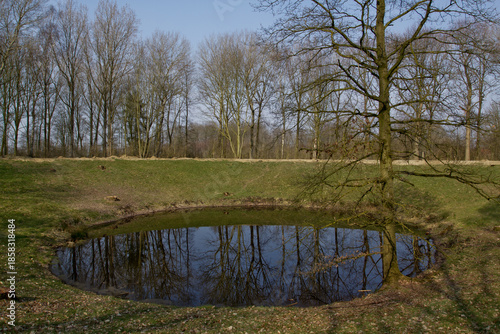 Naklejka Caterpillar Crater mine explosion site at Hill 60 Belgium. Massive World War I mine crater from the Battle of Messines 1917 in Flanders Fields. WWI Western Front battlefield landscape.