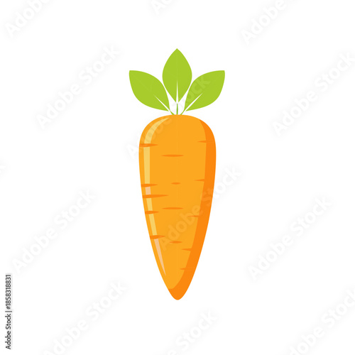 Isolated Fresh Carrot with Green Leaves Vegetable Healthy Food Ingredient Vegetarian Diet Nutrition