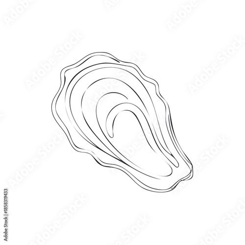 Oyster line art illustration. Simple outline drawing of an oyster shell. Isolated vector design of seafood mollusk.