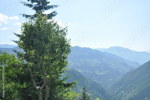 Scenic mountain view with lush trees under a clear blue sky during midday