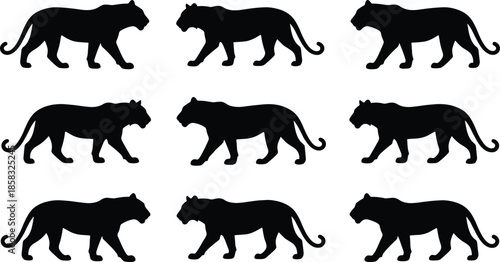Black panther silhouettes set of walking big cats, wild animal vector illustration isolated on white background for design projects templates
