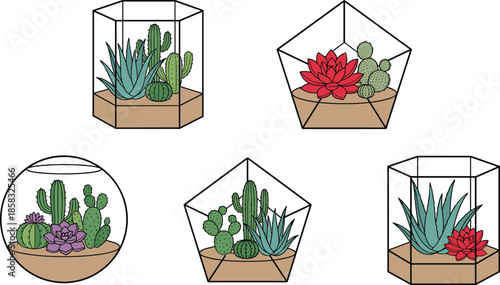 Geometric glass terrarium with cactus and succulents set, modern indoor plant decor, minimalist botanical illustration for home design wall art