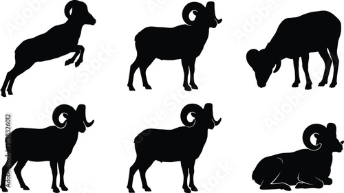 Ram sheep silhouettes set, black vector illustration of farm animals in different poses isolated on white background design modern collection