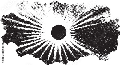 Sun rays effect radiating from a central circle. This graphic features a black and white vector illustration with an abstract style.