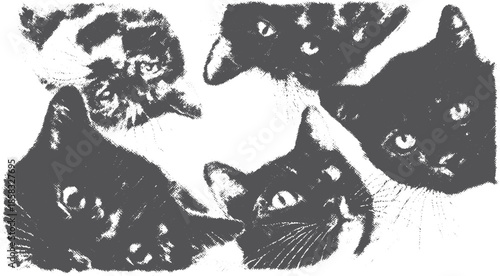 Kittens in a black silhouette style. This vector illustration features a set of cats with varying head positions and expressions, ideal for artistic designs.