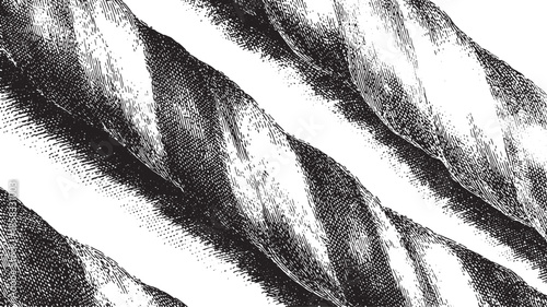 Rope texture in black and white stripes with intricate details. Vector illustration showcasing a classic twist pattern in a monochrome design set.